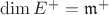$\operatorname{dim} E^+=\mathfrak m^+$