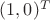 $(1,0)^T$