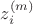 $z_i^{(m)}$