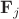 ${\bf F}_j$ ${\bf F}_j$