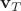 $\mathbf v_T$