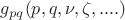 $g_{pq}(p,q,\nu,\zeta,....)$