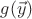 $g(\vec y)$