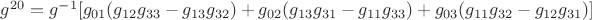 ${g^{20}} = {g^{-1}}[{g_{01}}({g_{12}}{g_{33}} - {g_{13}}{g_{32}}) + {g_{02}}({g_{13}}{g_{31}} - {g_{11}}{g_{33}}) + {g_{03}}({g_{11}}{g_{32}} - {g_{12}}{g_{31}})]$