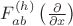 $F_{ab}^{(h)}\left( \frac{\partial}{\partial x}\right)$