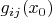 $g_{ij}(x_0)$