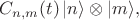 $C_{n,m}(t)\,|n\rangle\otimes|m\rangle,$