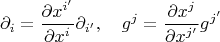 $$\partial_i=\frac{\partial x^{i'}}{\partial x^i}\partial_{i'},\quad g^j=\frac{\partial x^{j}}{\partial x^{j'}}g^{j'}$$