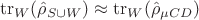 $$\operatorname{tr}_W(\hat\rho_{S\cup W})\approx \operatorname{tr}_W(\hat\rho_{\mu CD})$$