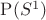 $\operatorname{P}(S^1)$