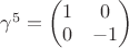 $ \gamma^5 = \begin{pmatrix} 1 & 0 \\0 & -1 \end{pmatrix}$