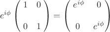 $$e^{i\phi} \begin{pmatrix}\;1 & 0\;\\ \\\;0 & 1\;\end{pmatrix} = \begin{pmatrix}\;e^{i\phi} & 0\\ \\0 & e^{i\phi}\end{pmatrix}$$ $$e^{i\phi} \begin{pmatrix}\;1 & 0\;\\ \\\;0 & 1\;\end{pmatrix} = \begin{pmatrix}\;e^{i\phi} & 0\\ \\0 & e^{i\phi}\end{pmatrix}$$
