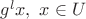 $g^l x, \ x\in U$
