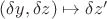 $(\delta y, \delta z) \mapsto \delta z'$