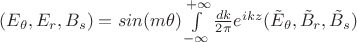 $(E_\theta,E_r,B_s) = sin(m \theta) \int \limits_{-\infty}^{+\infty} \frac {dk} {2 \pi} e^{i k z} (\tilde E_\theta, \tilde B_r, \tilde B_s) $