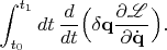 $\displaystyle\int_{t_0}^{t_1}dt\,\dfrac{d}{dt}\Bigl(\delta\mathbf{q}\dfrac{\partial\mathscr{L}}{\partial\dot{\mathbf{q}}}\Bigr).$