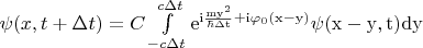 $\begin{equation*}
	$\psi(x, t+\Delta t)=C\int\limits_{-c\Delta t}^{c\Delta t}\rm{e}^{i\frac{my^2}{\hbar\Delta t}+i\varphi_{0}(x-y)}\psi(x-y, t)dy$
\end{equation*}
$