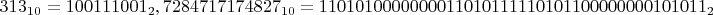 $313_{10} =  100111001_2, 7284717174827_{10} = 1101010000000011010111110101100000000101011_2$
