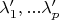 \lambda_1', ... \lambda_p'