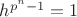 $h^{p^n-1}=1$