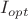 $I_{opt}$