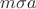 $m\sigma a$