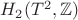 $H_2(T^2,\mathbb{Z})$