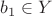 $b_1\in Y$