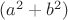 $(a^{2}+b^{2})$