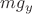 $mg_y$