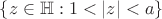 $\{z\in {\Bbb H}: 1<|z|<a\}$