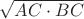 $\sqrt{AC \cdot BC}$