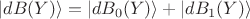 $\vert dB(Y)\rangle = \vert dB_{0}(Y)\rangle +\vert dB_{1}(Y)\rangle$