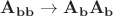 $\mathbf{A_{bb}} \to \mathbf{A_{b}}\mathbf{A_{b}}$