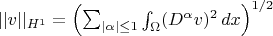 $||v||_{H^1}=\left(\sum_{|\alpha| \le 1} \int_{\Omega}(D^{\alpha}v)^2 \, dx \right)^{1/2}$
