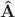$\mathbf{\hat{A}}$