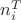 $n^{T}_{i}$