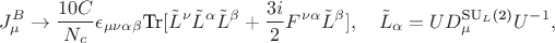 $$
J^{B}_{\mu} \to \frac{10C}{N_{c}}\epsilon_{\mu \nu \alpha \beta}\text{Tr}[\tilde{L}^{\nu}\tilde{L}^{\alpha}\tilde{L}^{\beta} + \frac{3i}{2}F^{\nu \alpha}\tilde{L}^{\beta}], \quad \tilde{L}_{\alpha} = UD^{\text{SU}_{L}\text{(2)}}_{\mu}U^{-1},
$$