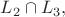 $L_2 \cap L_3,$