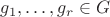 $g_1,\dots,g_r \in G$