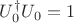 $U_0^\dag U_0=1$