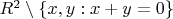 $R^2\setminus \{x, y : x + y = 0\}$