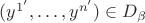 $(y^{1'},\ldots,y^{n'})\in D_{\beta}$