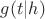 $g(t | h)$