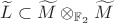 $\widetilde L\subset \widetilde M\otimes_{\mathbb F_2}\widetilde M$