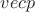 $vec{p}$