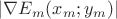 $|\nabla{E_m(x_m; y_m)}|$ $|\nabla{E_m(x_m; y_m)}|$