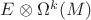 $ E \otimes \Omega^k(M)$