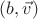 $(b,\vec{v})$ $(b,\vec{v})$
