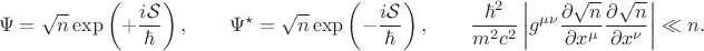 $$
\Psi = \sqrt{n} \exp \left( +\frac{i \mathcal S}{\hbar} \right),
\qquad
\Psi^{\star} = \sqrt{n} \exp \left( -\frac{i \mathcal S}{\hbar} \right),
\qquad
\frac{\hbar^2}{m^2 c^2} \left| g^{\mu \nu}
\frac{\partial \sqrt{n}}{\partial x^{\mu}}
\frac{\partial \sqrt{n}}{\partial x^{\nu}} \right| \ll n.
$$